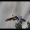 20150710_0122